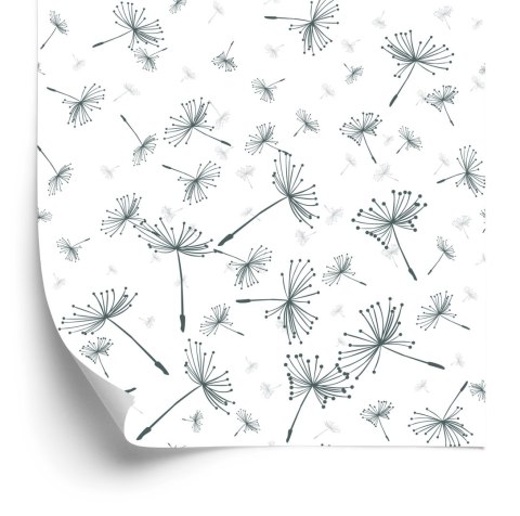 Tapeta Unoszące Się Nasiona Dmuchawca