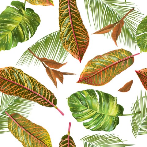 Tapeta Tropikalne Liście Palmy