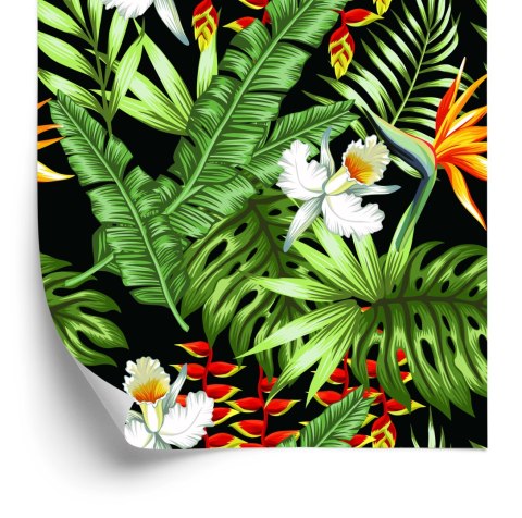 Tapeta Tropikalne Liście