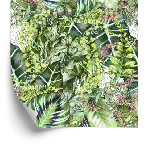 Tapeta Tropikalne Rośliny Przyroda