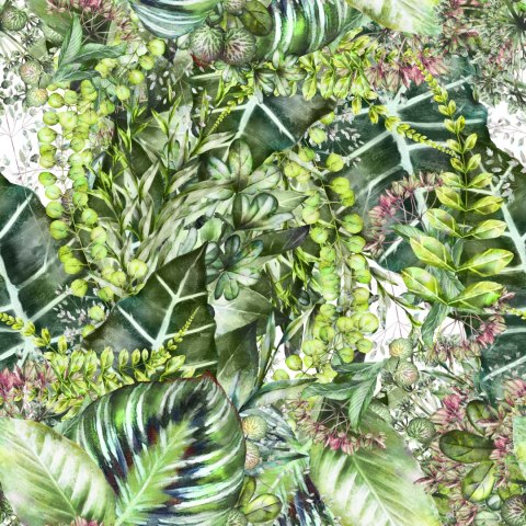 Tapeta Tropikalne Rośliny Przyroda