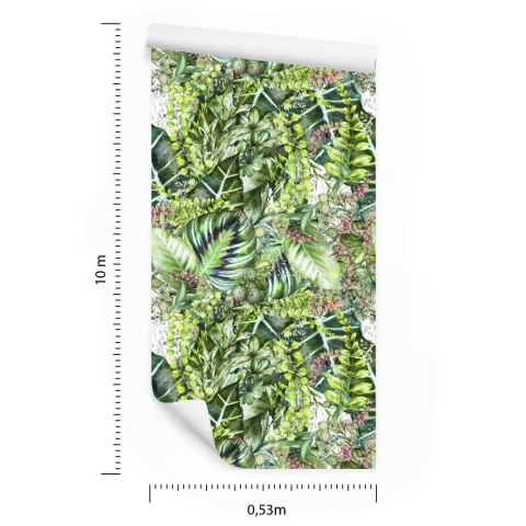 Tapeta Tropikalne Rośliny Przyroda