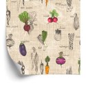 Tapeta Rysunki Warzyw W Stylu Vintage