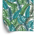 Tapeta Liście Monstera Dżungla