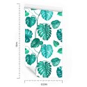 Tapeta Liście Monstera Natura