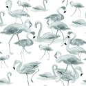 Tapeta Do Salonu, Flamingi, Ptaki, Natura