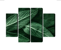 Obraz Wieloczęściowy Szałwia Odchodzi W Skali Makro