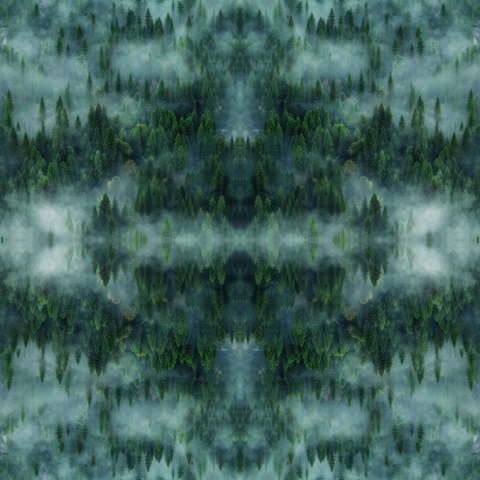 Fototapeta Okrągła Krajobraz Leśny