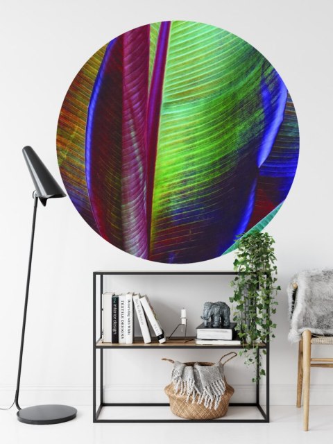 Fototapeta Okrągła Liść Bananowca François Casanova