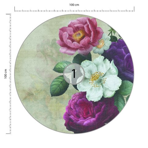 Fototapeta Okrągła Rycina Botaniczna W Stylu Vintage V