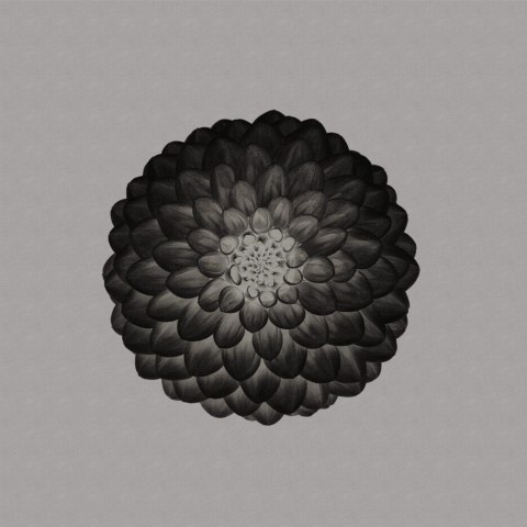 Fototapeta Kwadratowa Symetria W Negatywie