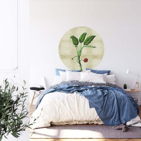 Fototapeta Okrągła Rośliny Tropikalne I