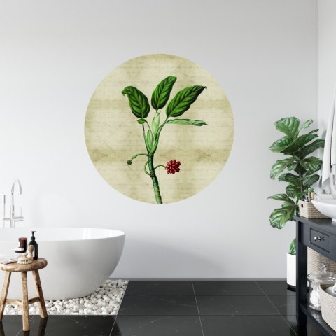 Fototapeta Okrągła Rośliny Tropikalne I