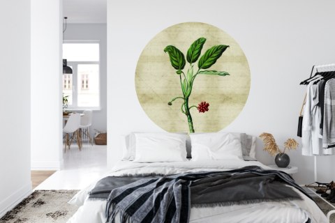 Fototapeta Okrągła Rośliny Tropikalne I