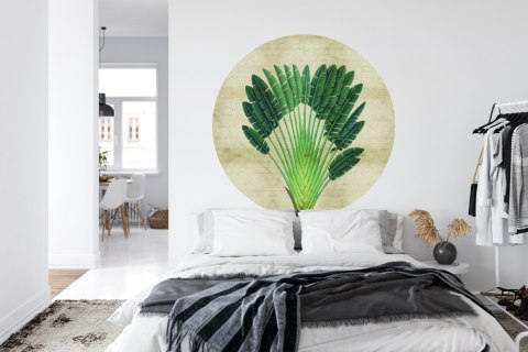 Fototapeta Okrągła Rośliny Tropikalne Ii