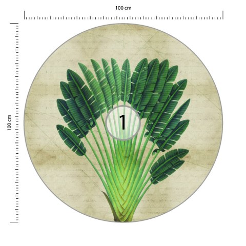 Fototapeta Okrągła Rośliny Tropikalne Ii