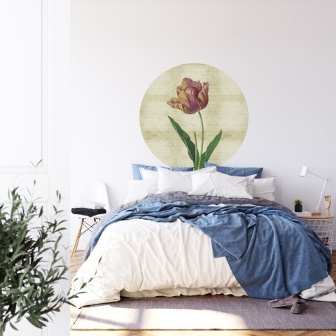 Fototapeta Okrągła Rycina Botaniczna W Stylu Vintage Iv