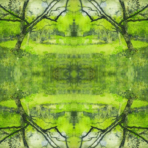 Fototapeta Kwadratowa Sad