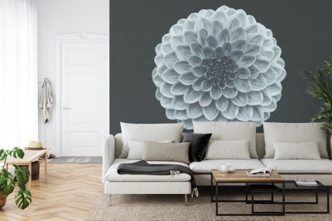 Fototapeta Kwadratowa Symetria