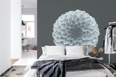 Fototapeta Kwadratowa Symetria