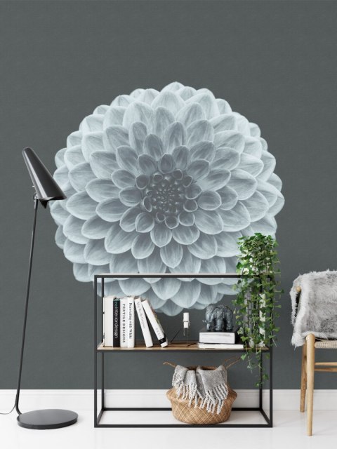 Fototapeta Kwadratowa Symetria