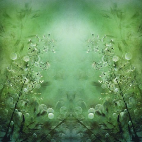 Fototapeta Kwadratowa Trawy Autorstwa Nel Talen