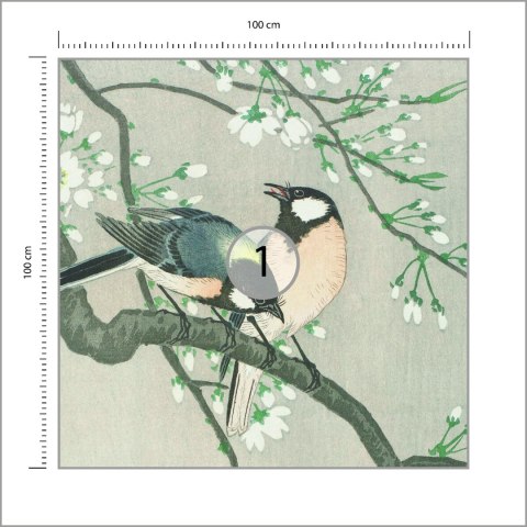 Fototapeta Kwadratowa Jedwabne Ptaki