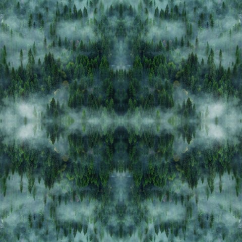 Fototapeta Kwadratowa Krajobraz Leśny