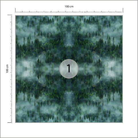 Fototapeta Kwadratowa Krajobraz Leśny