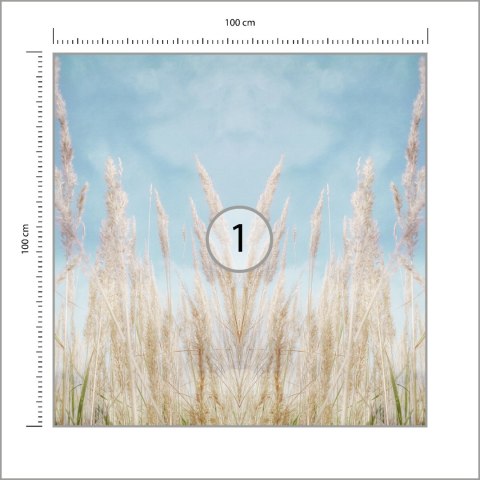 Fototapeta Kwadratowa Lipcowe Dni