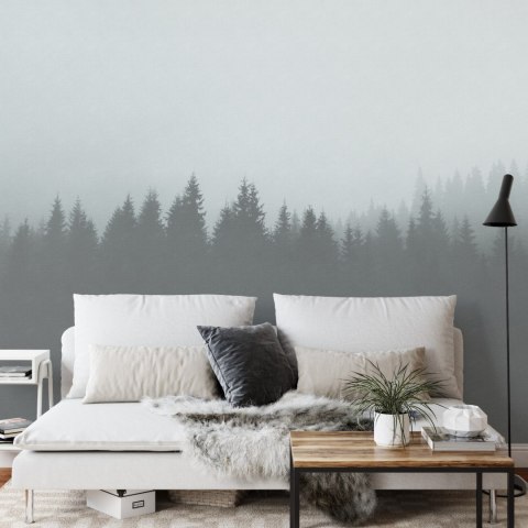 Fototapeta Kwadratowa Ombree Czarny Las