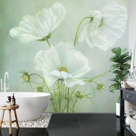 Fototapeta Kwadratowa Urok Kosmosu Autorstwa Mandy Disher