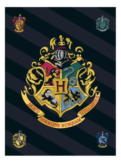 Koc polarowy 100x140 Harry Potter