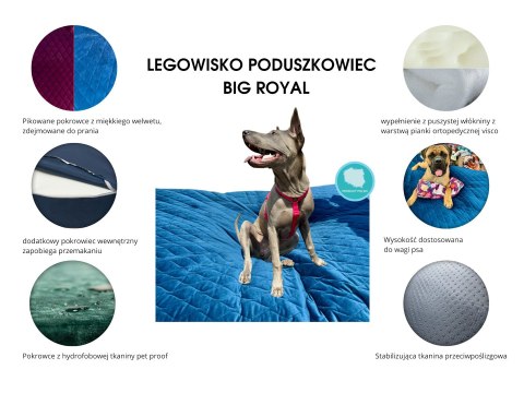 Legowisko PodUszkowiec BIG Royal Hevea Psie Historie 170x120 (niebieski)