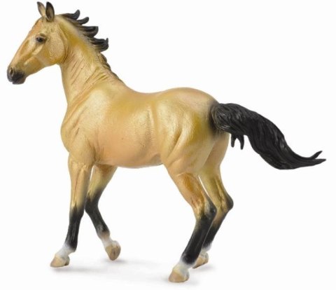 COLLECTA KLACZ AKHAL TEKE BUCKSKIN