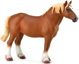 COLLECTA KLACZ BELGIAN MARE