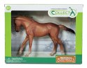 COLLECTA KLACZ RASY THOROUGHBRED MAŚCI CHESTNUT SKALA 1:12 W OPAKOWANIU (DELUXE).