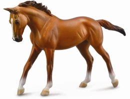 COLLECTA KLACZ RASY THOROUGHBRED MAŚCI CHESTNUT SKALA 1:12 W OPAKOWANIU (DELUXE).