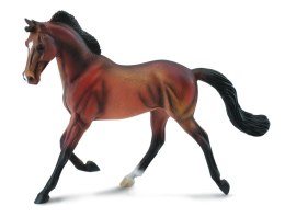 COLLECTA KLACZ THOROUGHBRED MAŚCI BAY