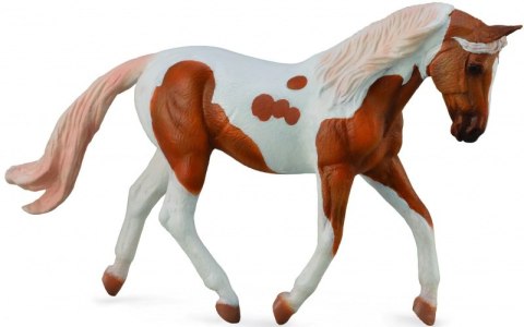 COLLECTA KOŃ PINTO MARE PALOMINO