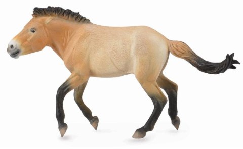 COLLECTA OGIER PRZEWALSKI