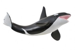 COLLECTA ORKA