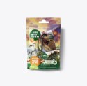 COLLECTA AR MIX DINOZAURÓW I KONI W SASZETKACH DISPLAY