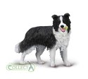 COLLECTA BORDER COLLIE