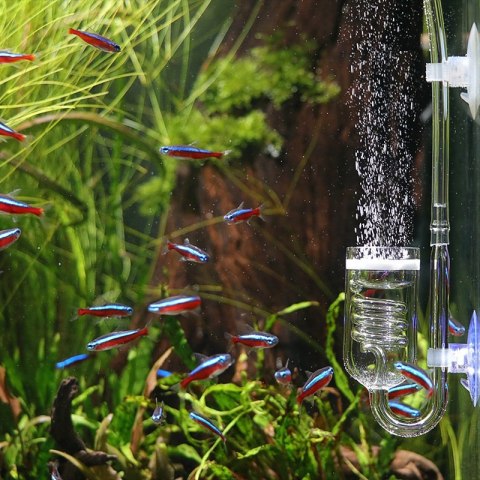 Deep Aqua Szklany Dyfuzor 25mm Spirala 6cm