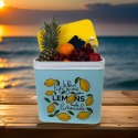 Lodówka CEGECO 24L Jasnoniebieska wzór Lemoniada Kamai Kamai COOLBOX