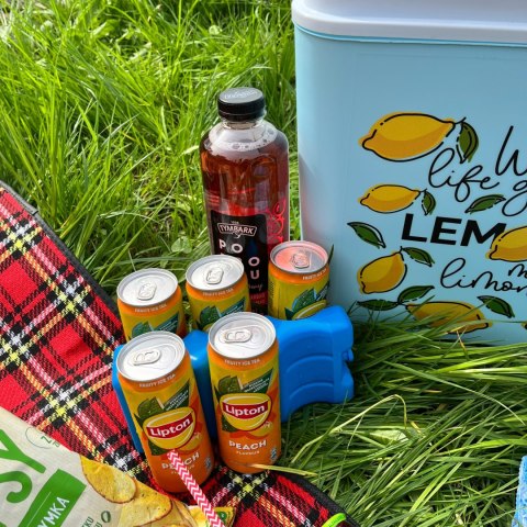 Lodówka CEGECO 24L Jasnoniebieska wzór Lemoniada Kamai Kamai COOLBOX