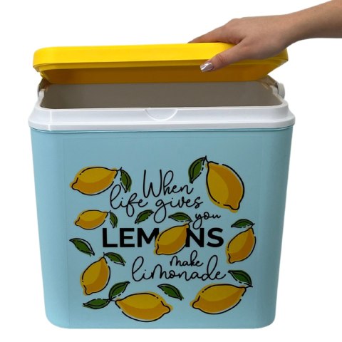 Lodówka CEGECO 24L Jasnoniebieska wzór Lemoniada Kamai Kamai COOLBOX