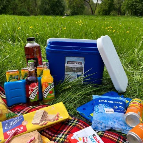 Lodówka turystyczna 10 L na wkłady mrożące, niebieska z białą pokrywą, wymiary 33x25,5x20 cm Kamai COOLBOX