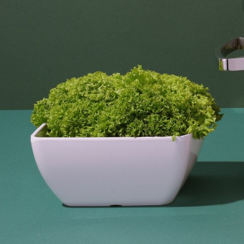 Miska kwadratowa Metro z melaminy, biała, 250x250x(h)120mm